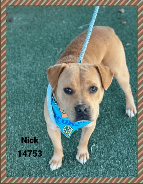 Nick thumbnail 3