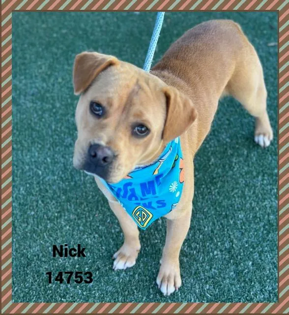 Nick thumbnail 4