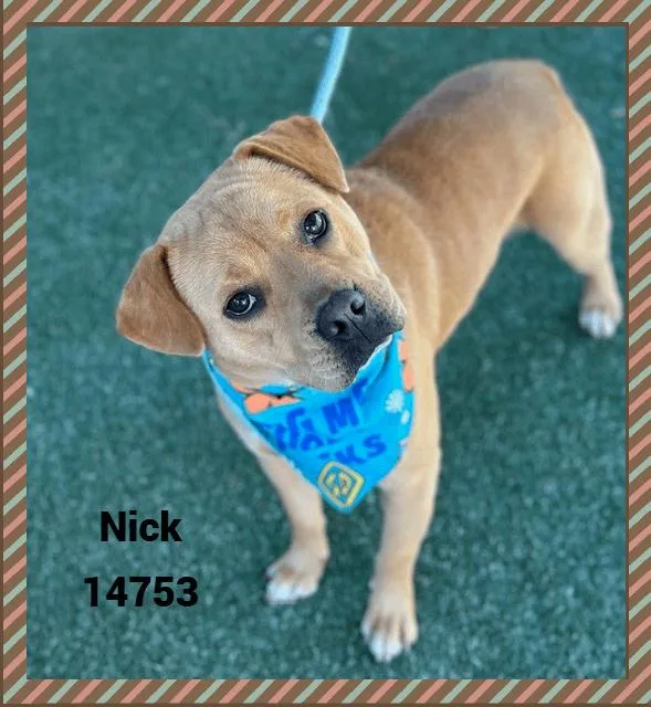 Nick thumbnail 5