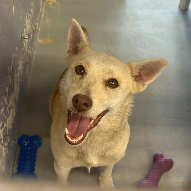 Snow White thumbnail 2