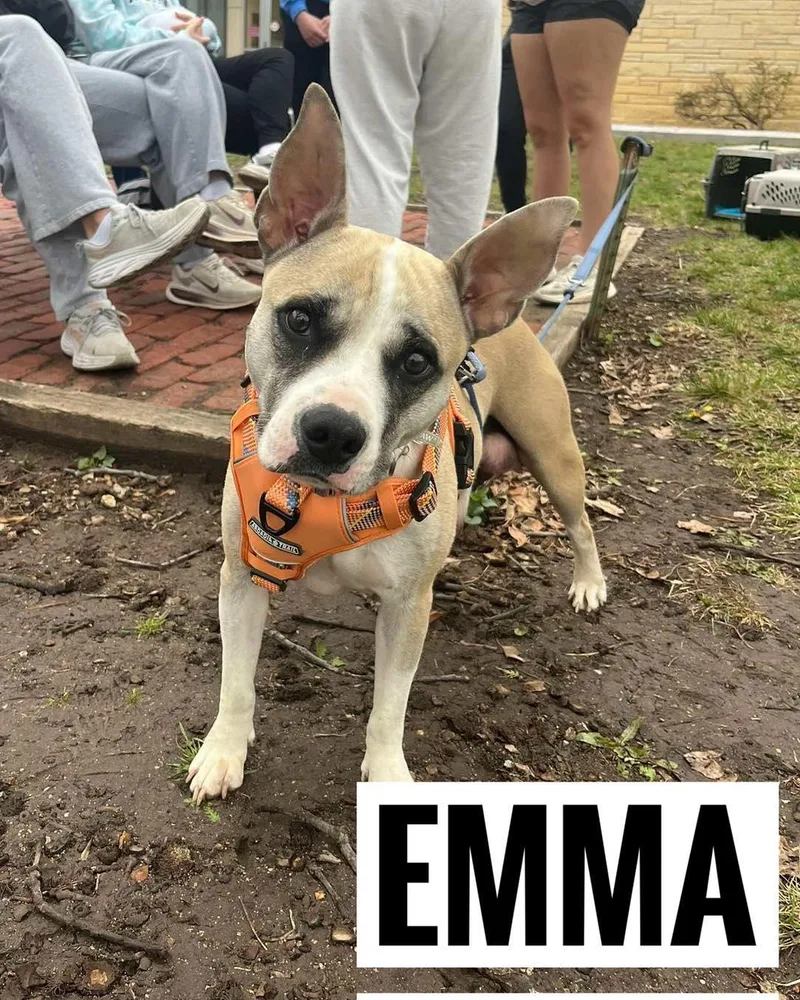 Emma thumbnail 3