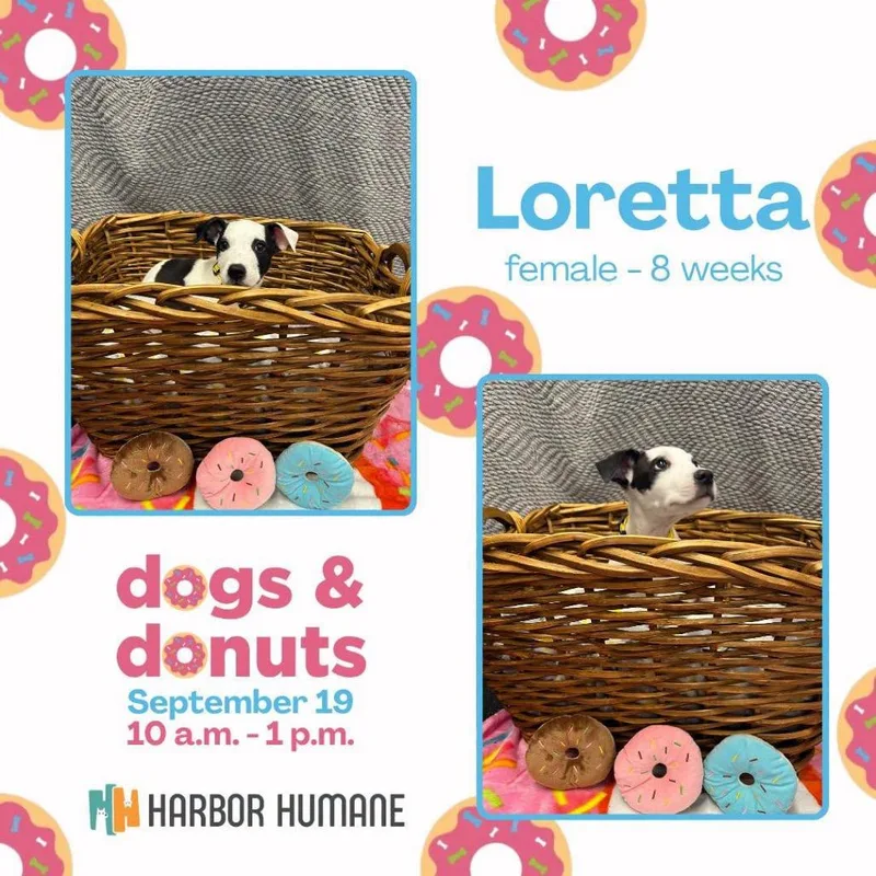 Loretta