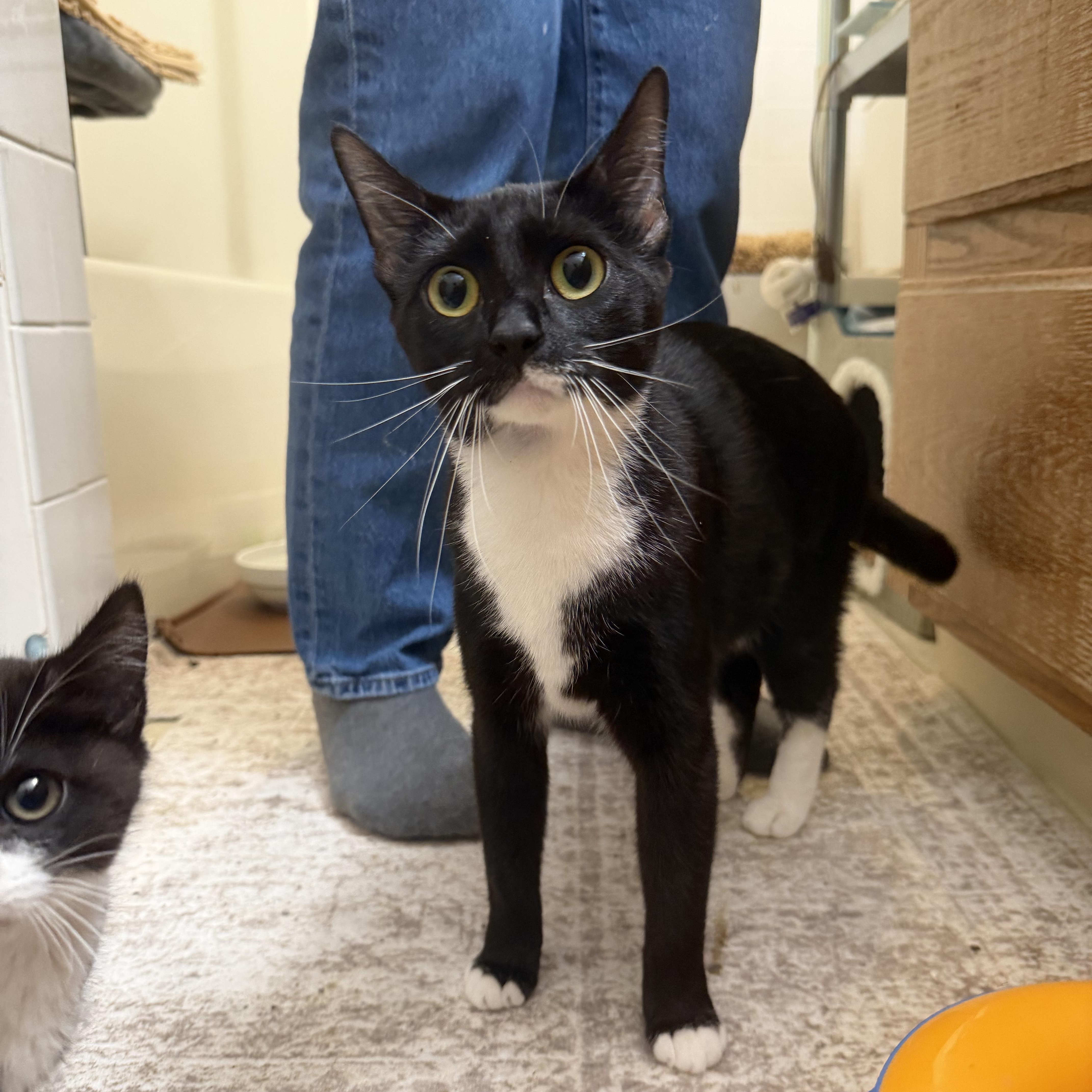 Angela & Loki thumbnail 6