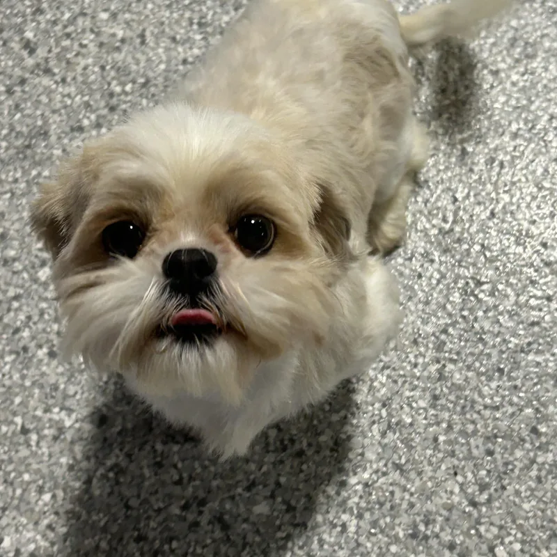 Zoey