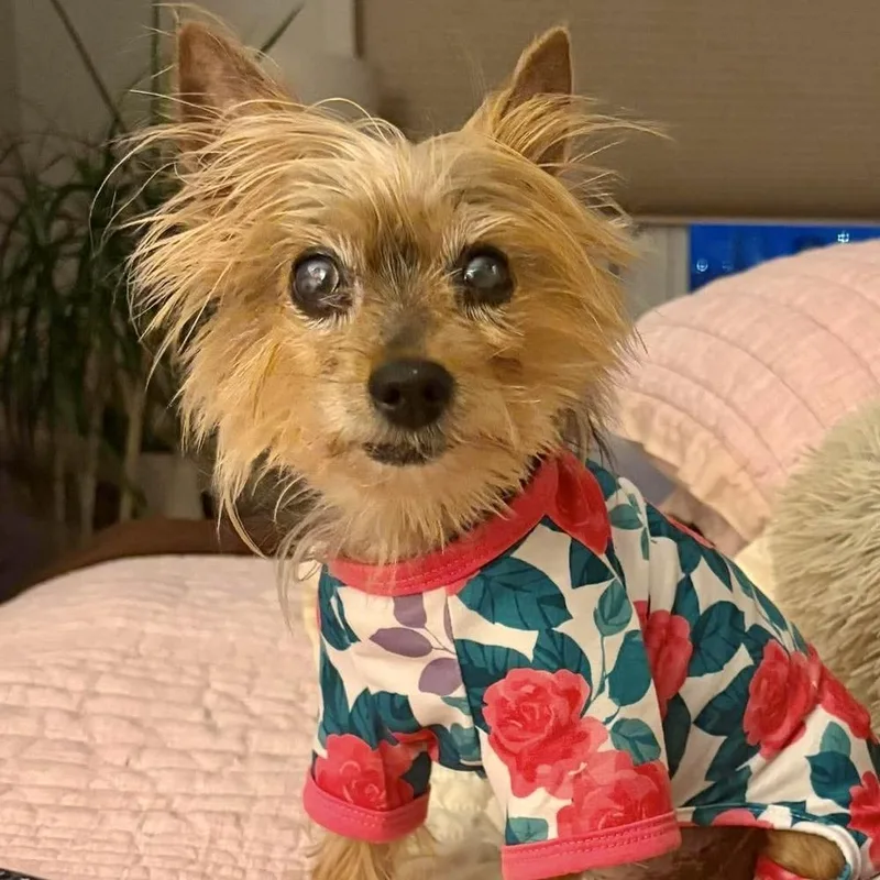 Dottie Princessa thumbnail 2
