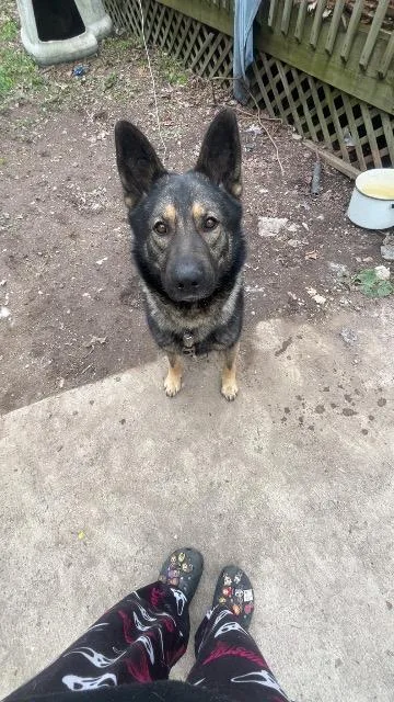 Shadow