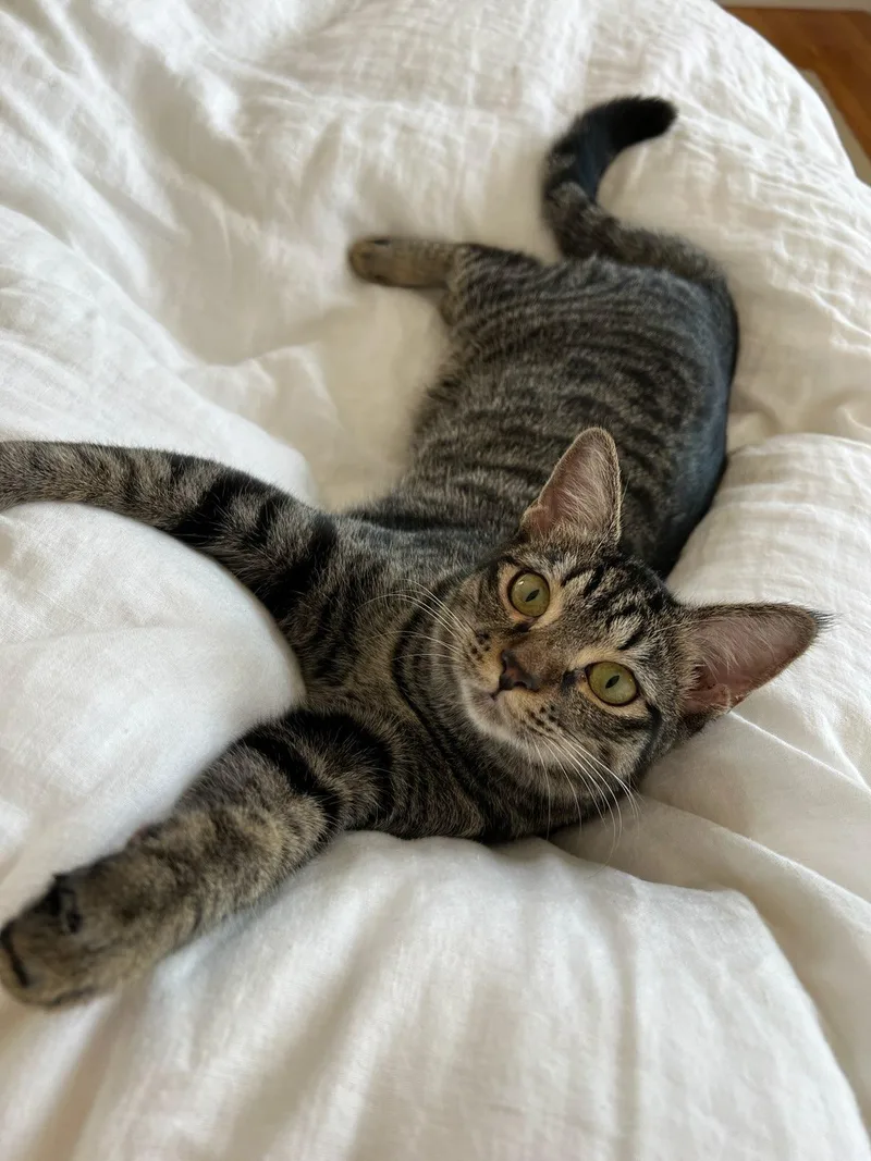 Kiki  Located In thumbnail 2