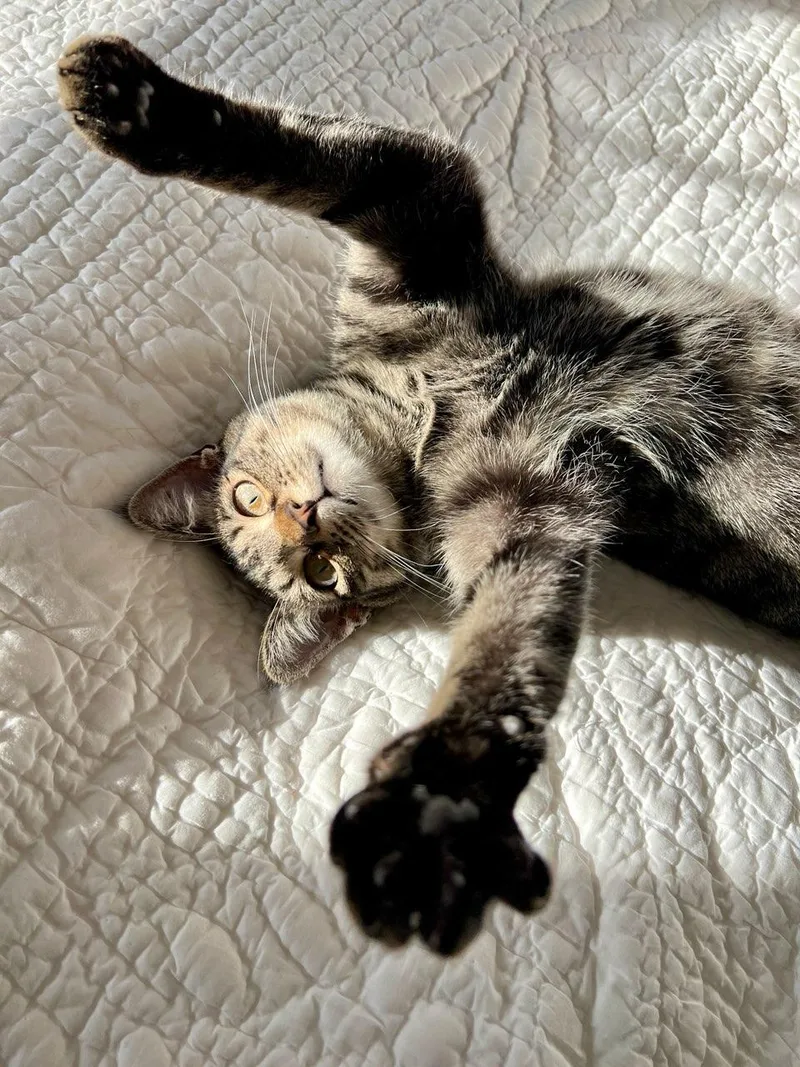 Kiki  Located In thumbnail 4
