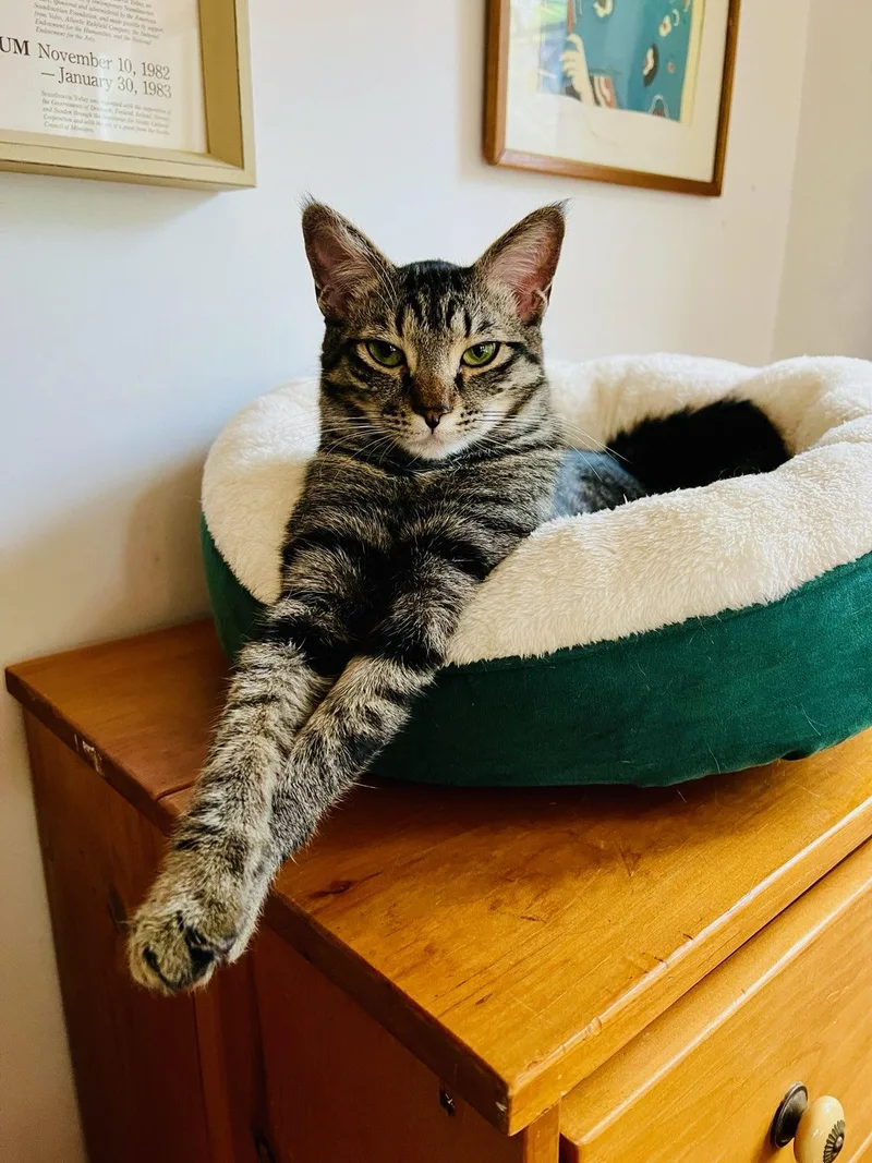 Kiki  Located In thumbnail 5