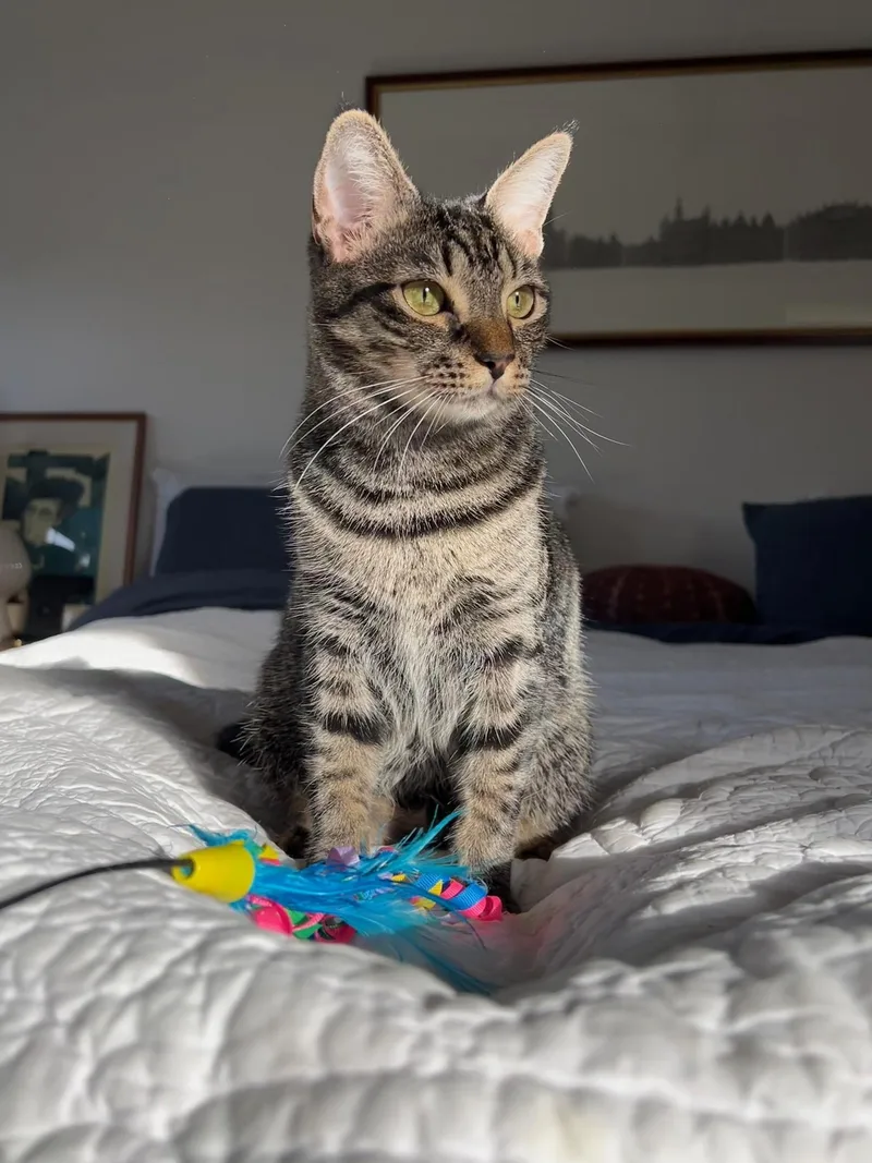 Kiki  Located In thumbnail 6