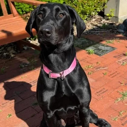 Lucy
