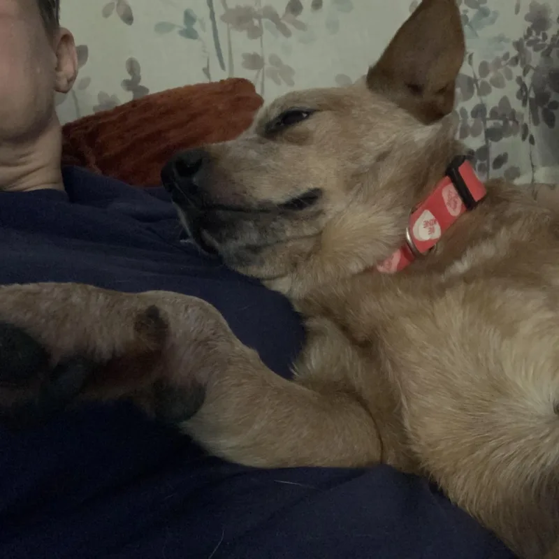 June Bug thumbnail 2