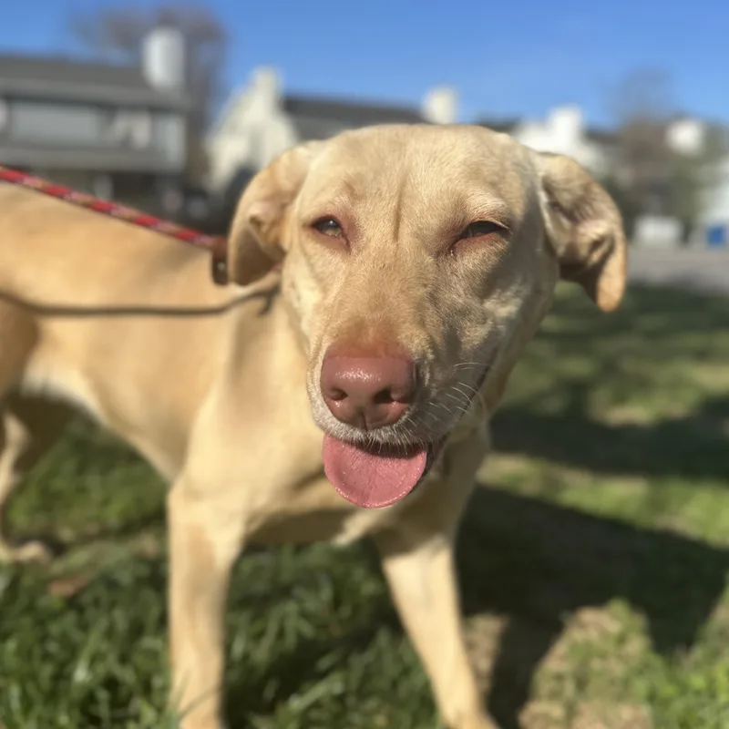 Clarkson thumbnail 2