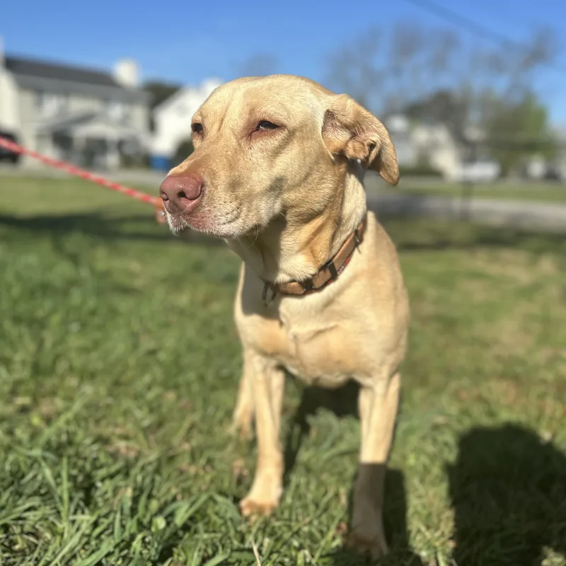 Clarkson thumbnail 4