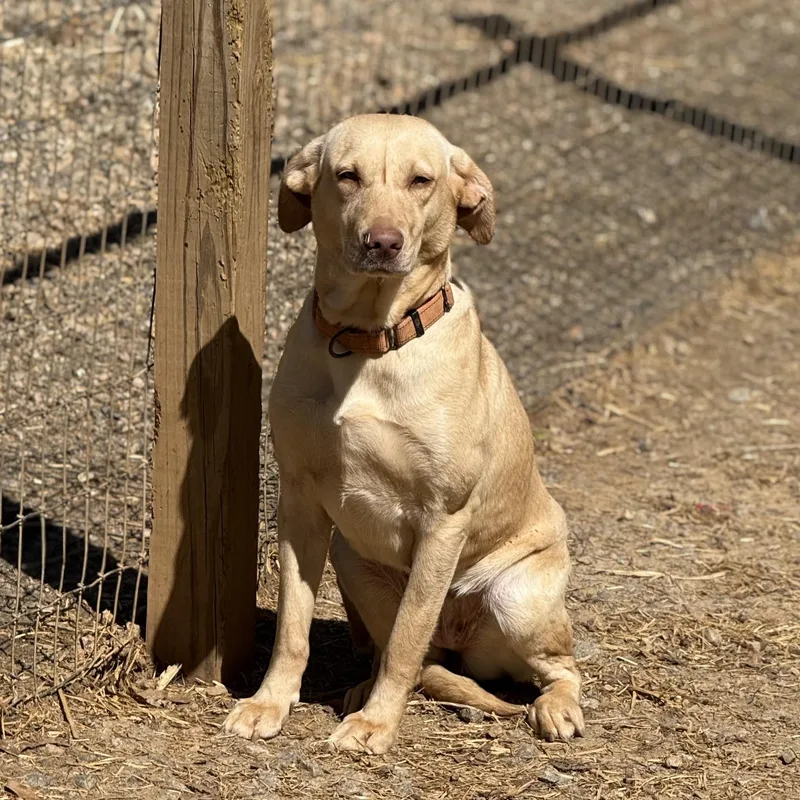 Clarkson thumbnail 6