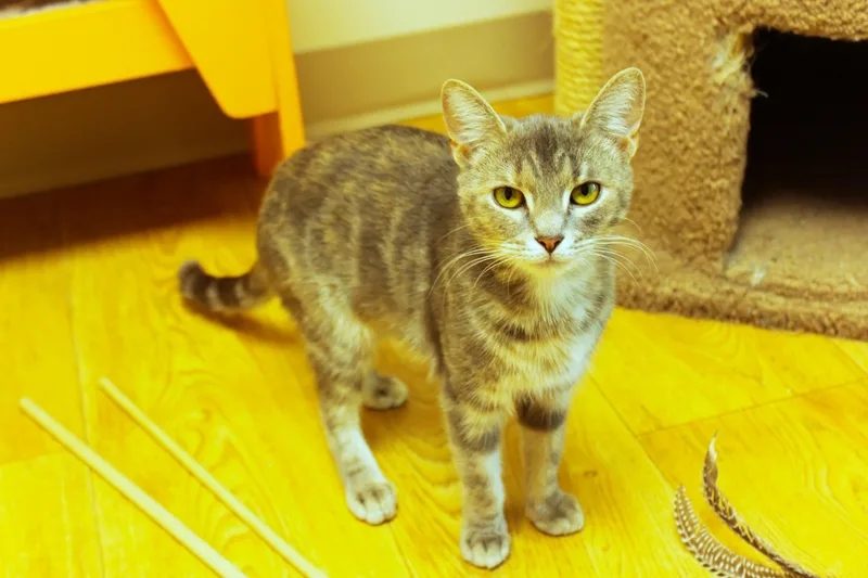 Darla thumbnail 4