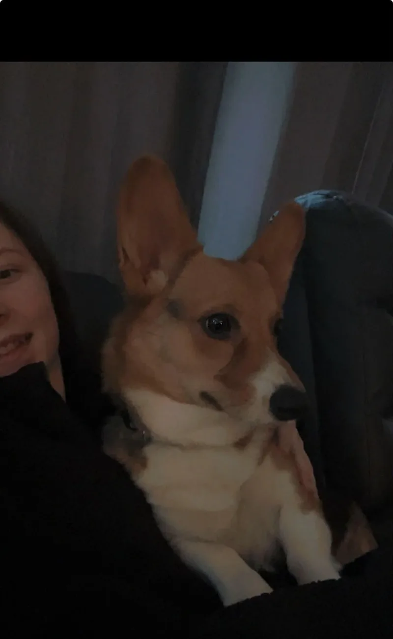 Smore thumbnail 2