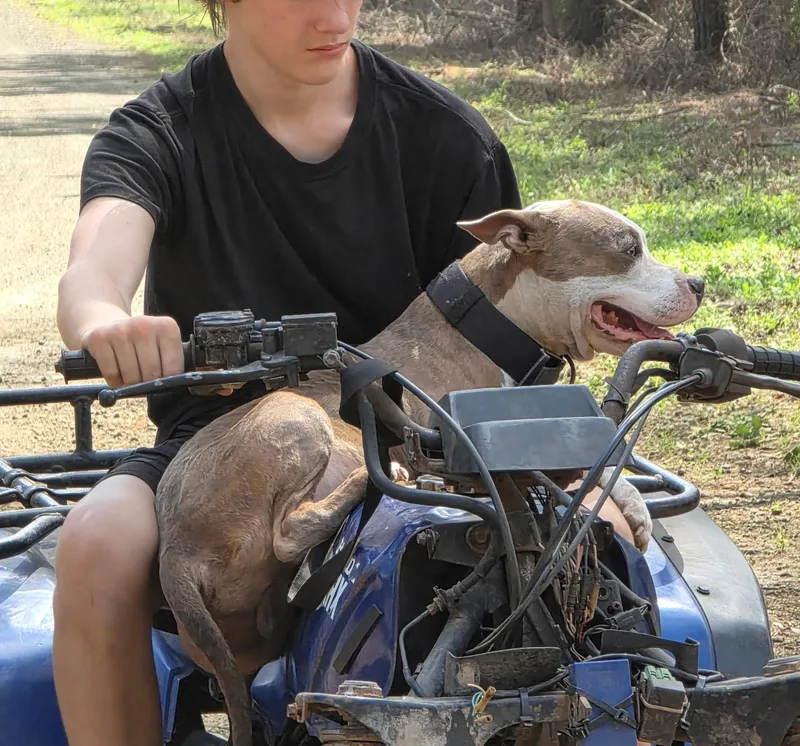 Chaos thumbnail 3