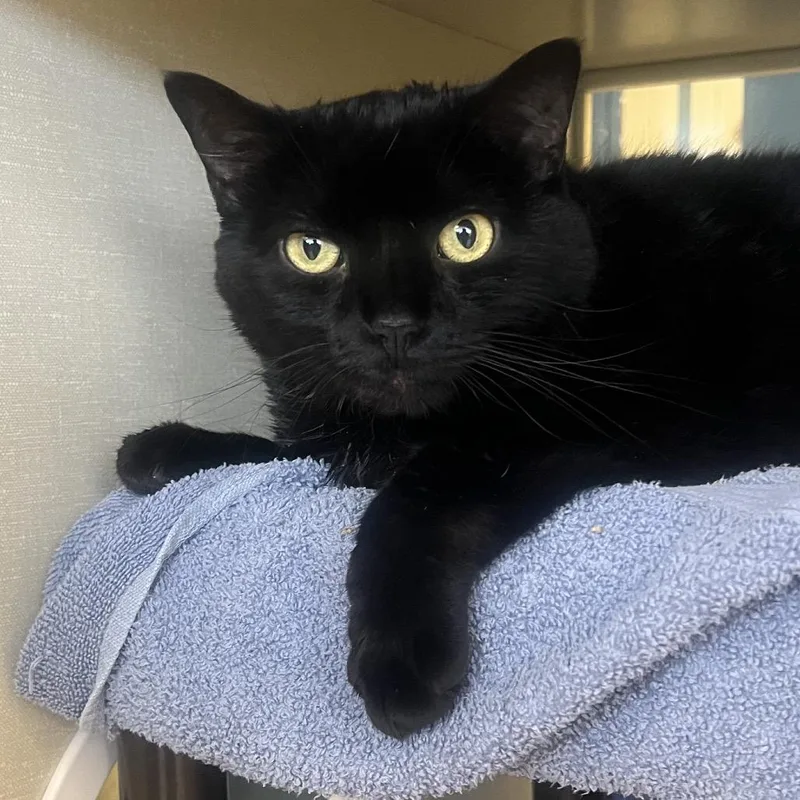 Jessy Jane thumbnail 6