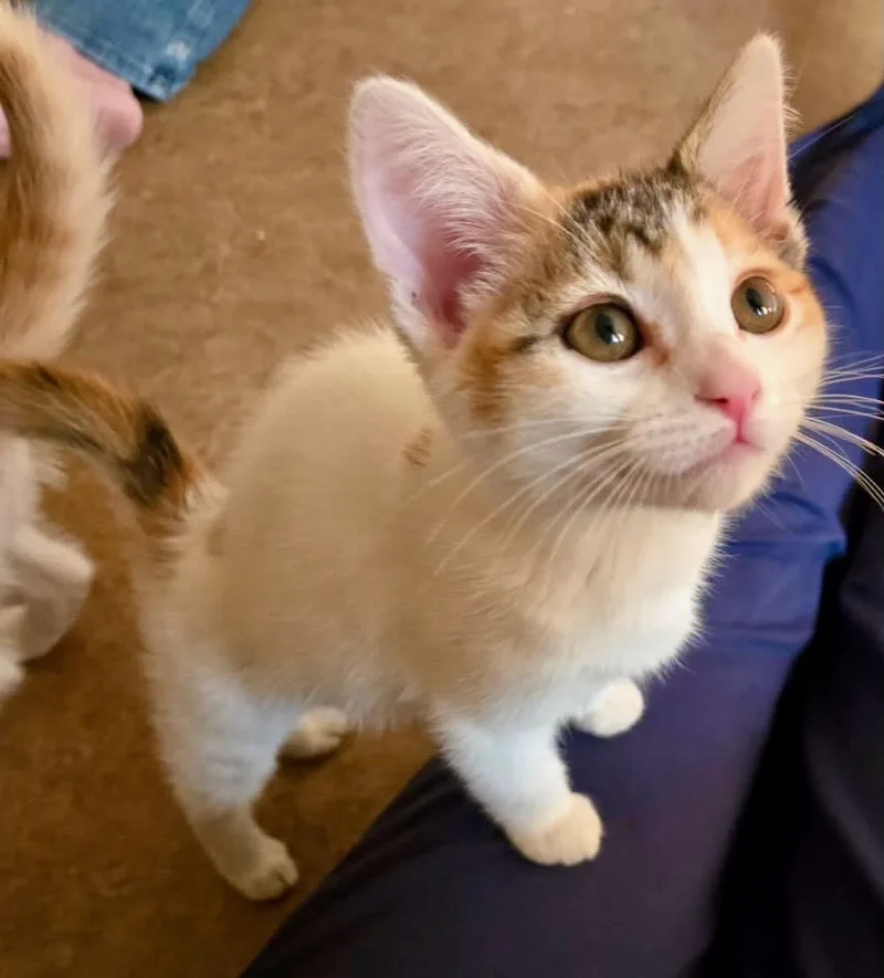 Ginger & Maryann thumbnail 3