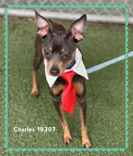 Charles