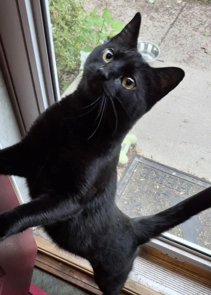 Michelob And Molson thumbnail 2