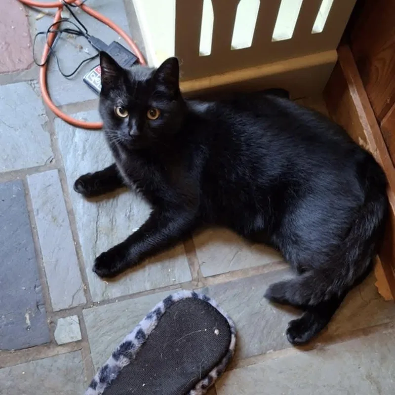 Michelob And Molson thumbnail 6