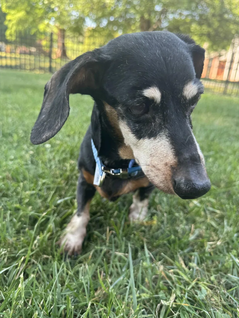 Cooper thumbnail 2