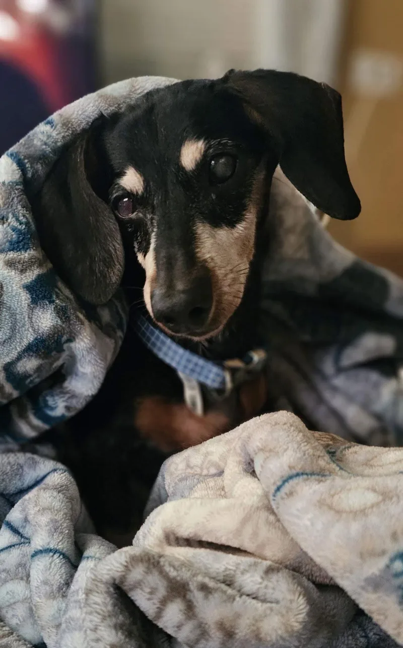 Cooper thumbnail 3