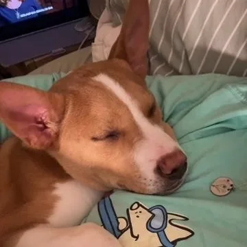 Skyy Spirits  Local thumbnail 2