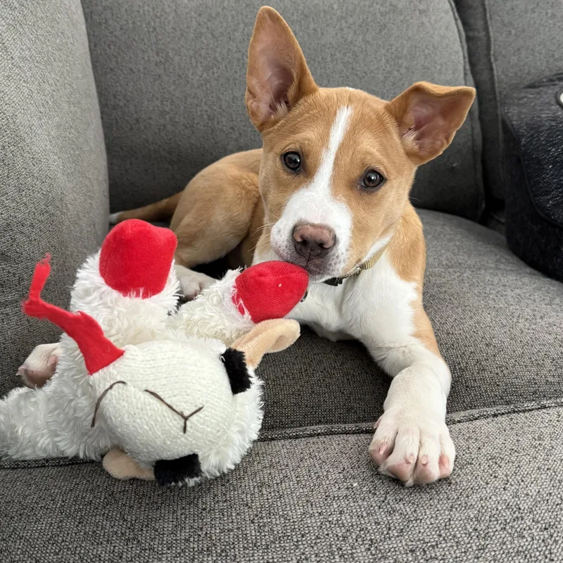 Skyy Spirits  Local thumbnail 3