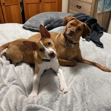 Skyy Spirits  Local thumbnail 4