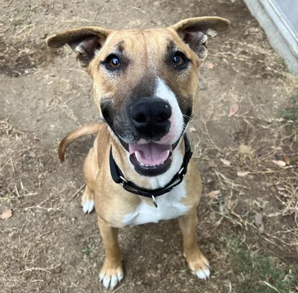 Mini Mona thumbnail 2