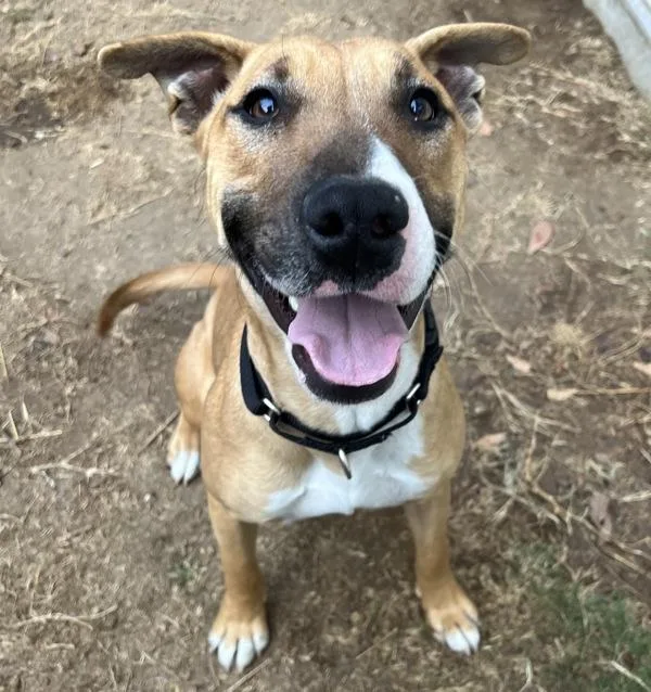 Mini Mona thumbnail 3