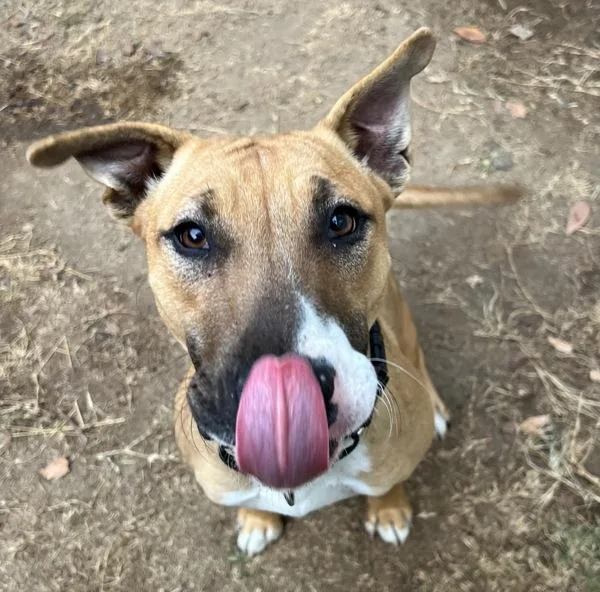 Mini Mona thumbnail 6