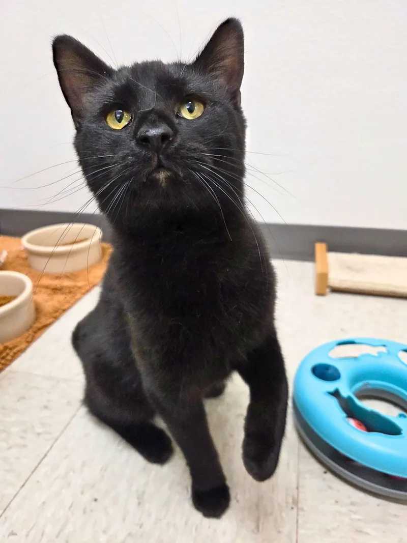 Mr. Munch thumbnail 2