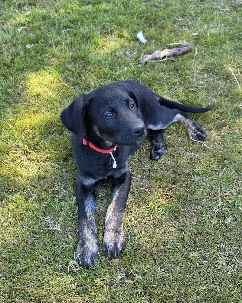 Sid