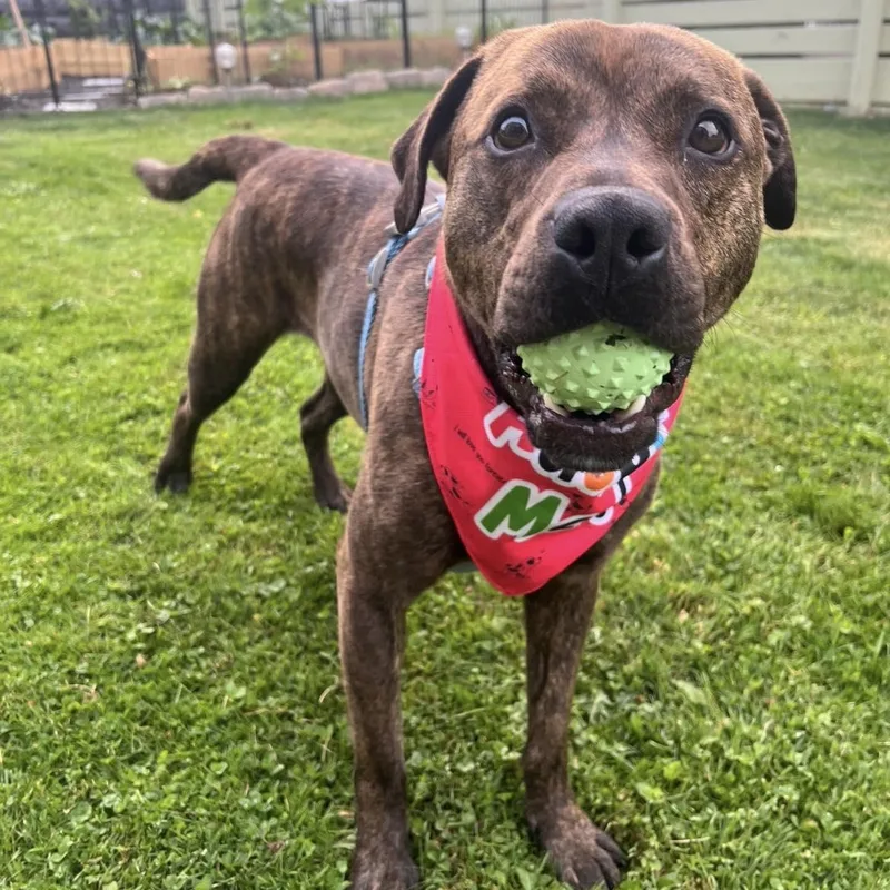 Frankie Eugenie thumbnail 2