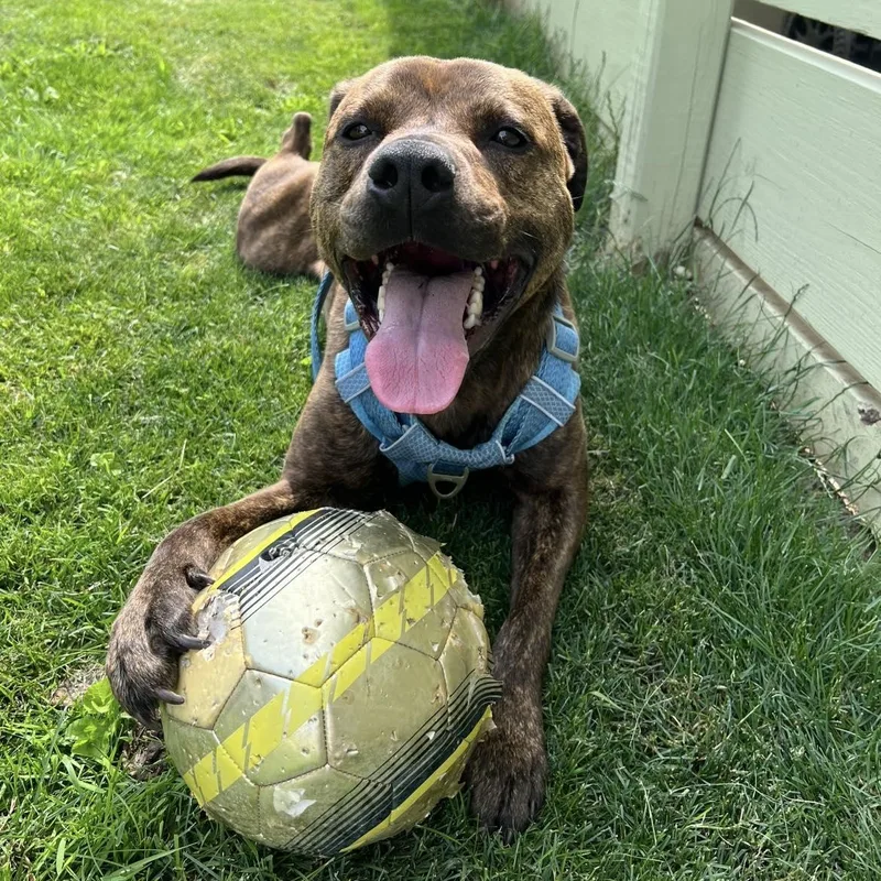 Frankie Eugenie thumbnail 4