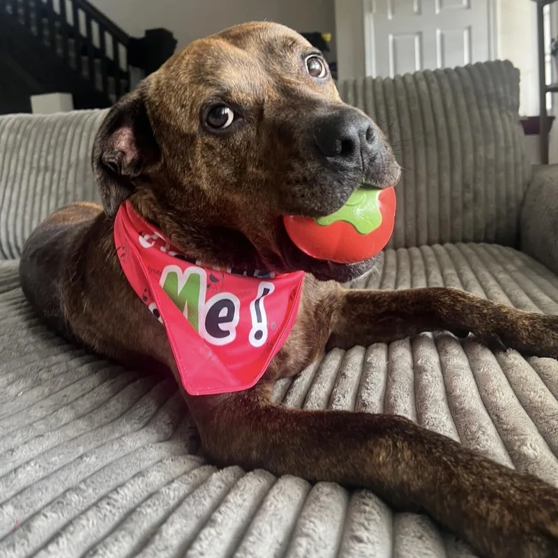 Frankie Eugenie thumbnail 5