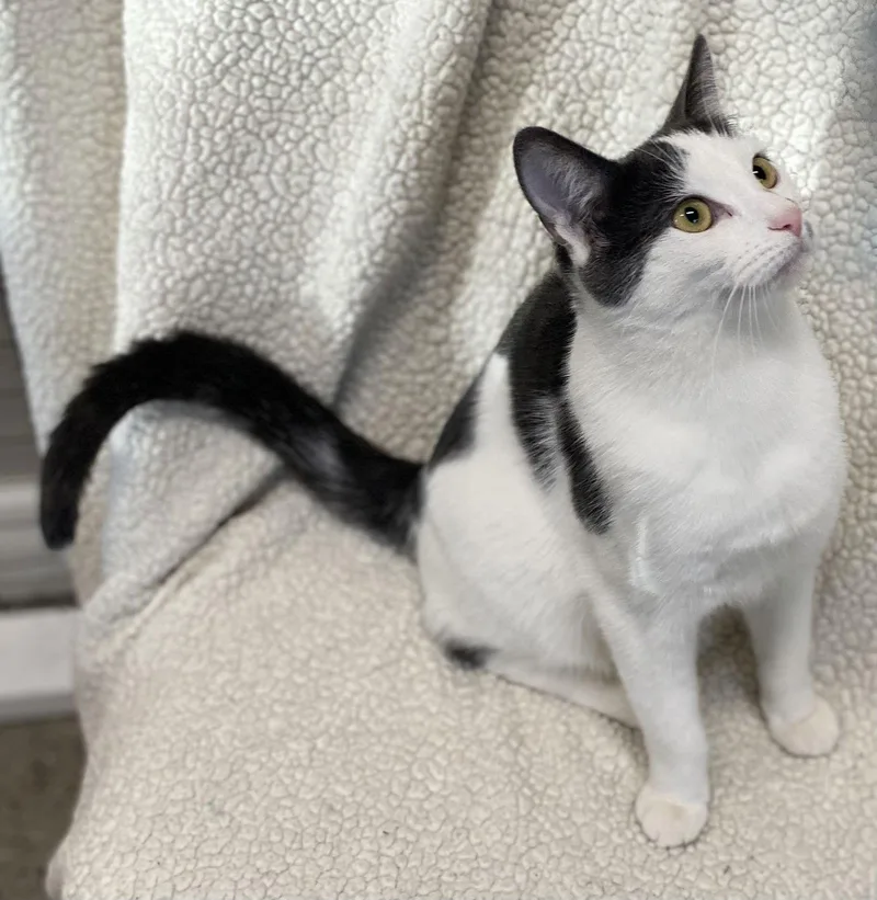 Simon And Trevor thumbnail 2