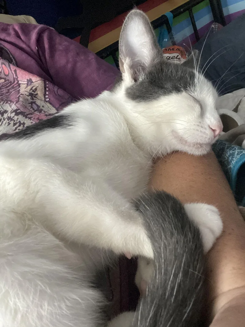 Simon And Trevor thumbnail 3