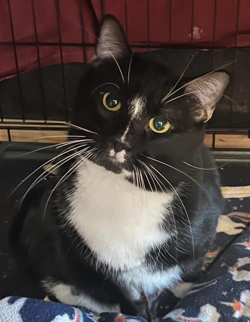 Lightning thumbnail 2