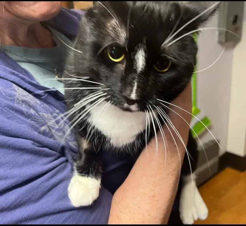 Lightning thumbnail 3