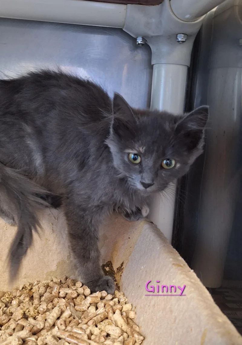 Ginny & Geena thumbnail 3