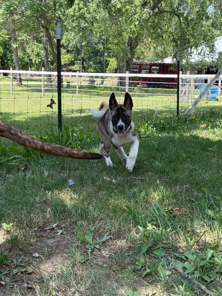 Bubbles thumbnail 6