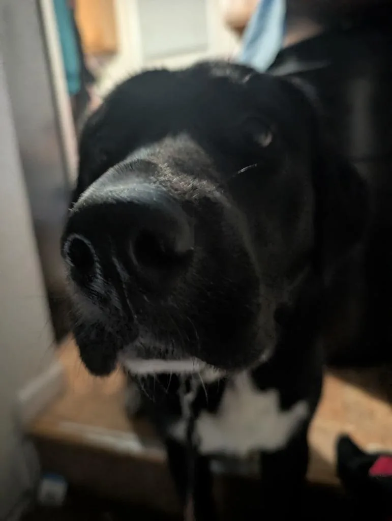 Murphy