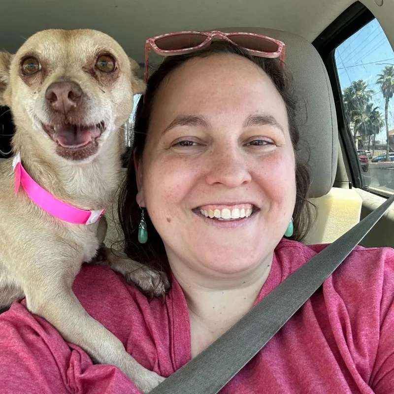 A senior small-sized female Yellow / Tan / Blond / Fawn Chihuahua dog named Honey Bun for adoption in Las Vegas, NV