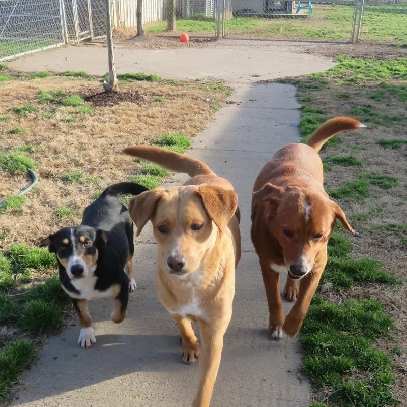 Max & Abby  thumbnail 3