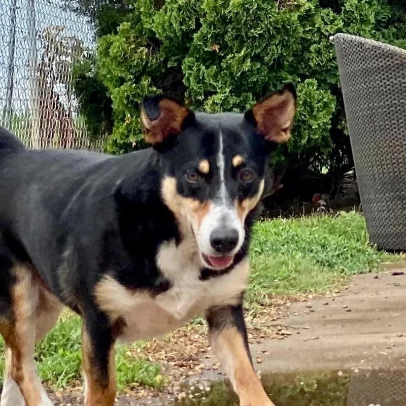 Max & Abby  thumbnail 6